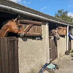別荘 The Dairy, Yealand Redmayne In A Rural Setting, Bring Your Dogs And Horse