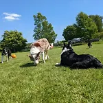 The Dairy, Yealand Redmayne In A Rural Setting, Bring Your Dogs And Horse 別荘 Beetham