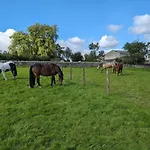 The Dairy, Yealand Redmayne In A Rural Setting, Bring Your Dogs And Horse * Beetham
