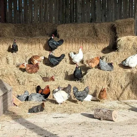 The Dairy, Yealand Redmayne In A Rural Setting, Bring Your Dogs And Horse Semesterbostad Beetham