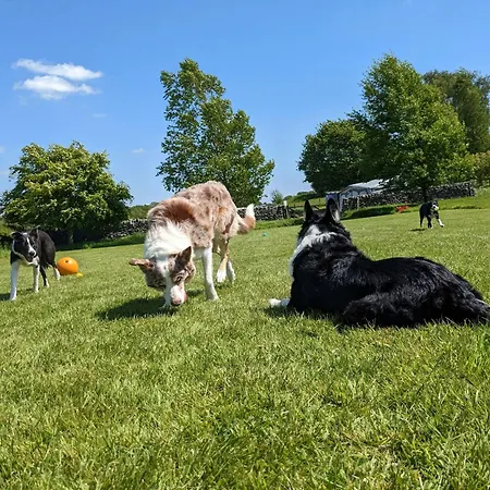 The Dairy, Yealand Redmayne In A Rural Setting, Bring Your Dogs And Horse Semesterbostad Beetham