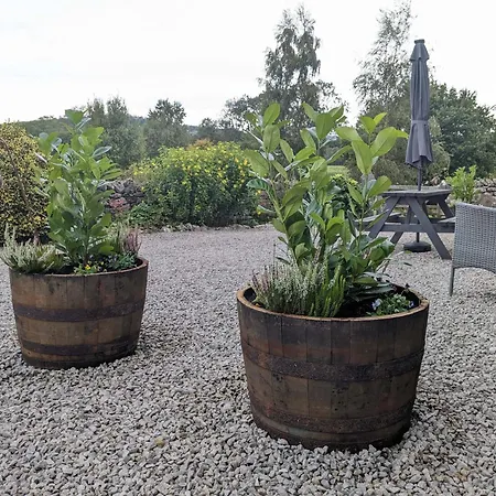 The Dairy, Yealand Redmayne In A Rural Setting, Bring Your Dogs And Horse Beetham