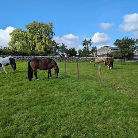 The Dairy, Yealand Redmayne In A Rural Setting, Bring Your Dogs And Horse * Beetham