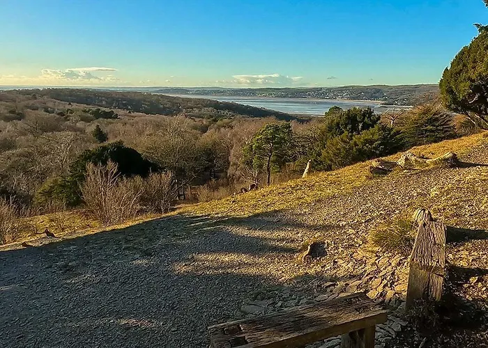 The Dairy, Yealand Redmayne In A Rural Setting, Bring Your Dogs And Horse
